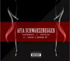 Ssnowbeatz - Afia Schwarzenegger (Remix) Ft. Teephlow, Jaredo & Quamina MP